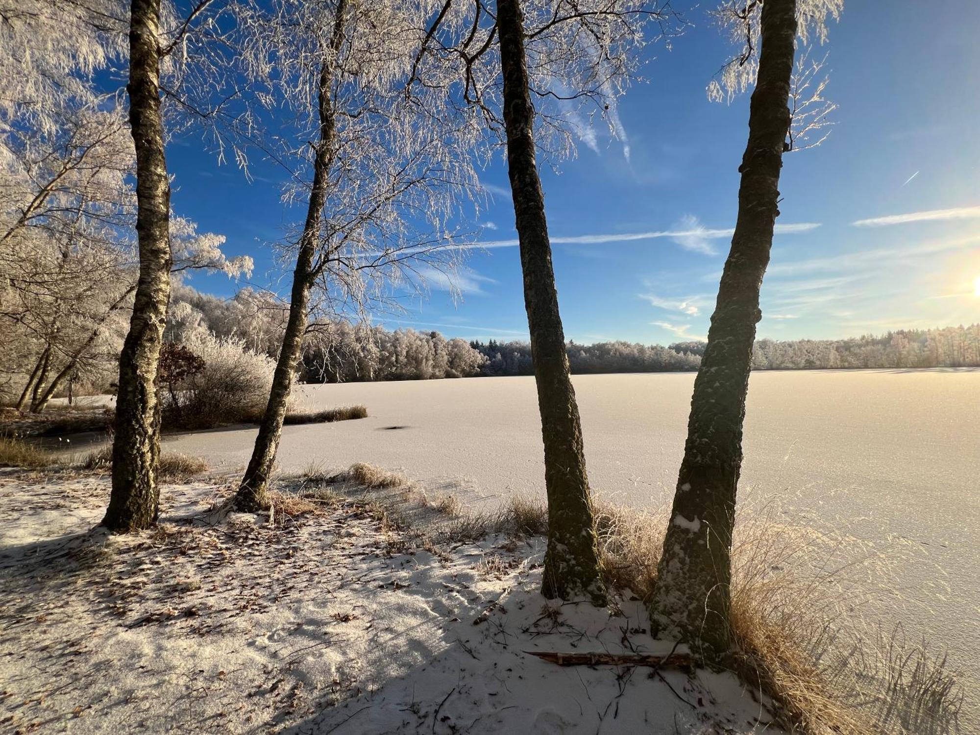 Aux Songes D'Elise Daire Belmont  Dış mekan fotoğraf
