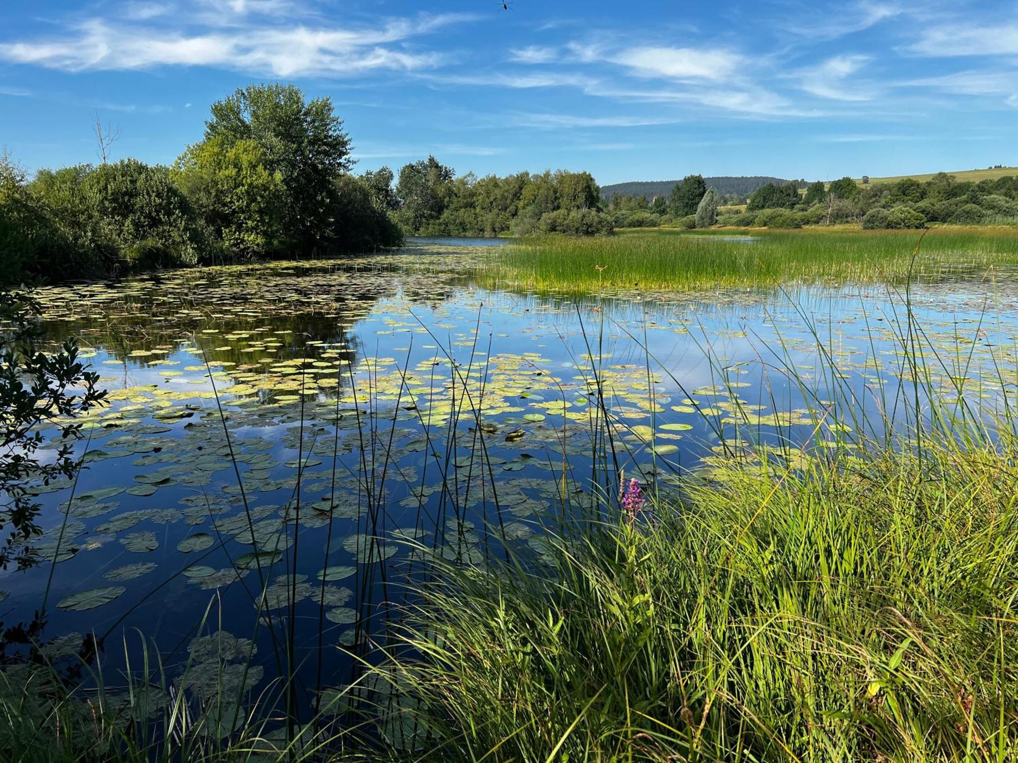 Aux Songes D'Elise Daire Belmont  Dış mekan fotoğraf