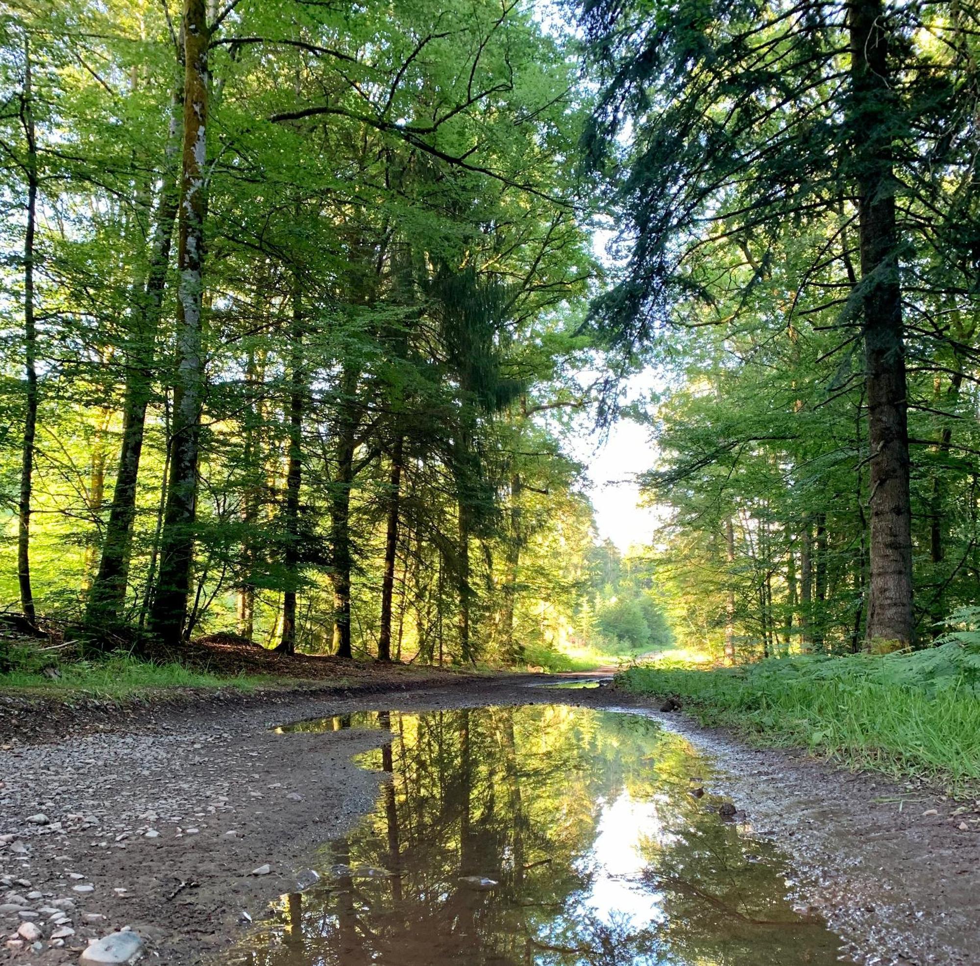 Aux Songes D'Elise Daire Belmont  Dış mekan fotoğraf